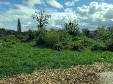 Güzel bir manzara Ağacı ve mavi gökyüzü