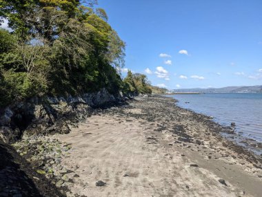 Güzel deniz manzarası