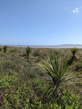 Doğanın güzel manzarası