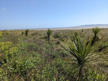 Doğanın güzel manzarası