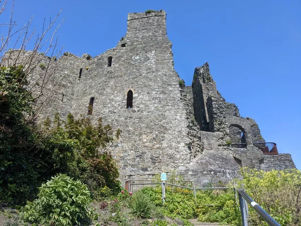 Carlingford Louth Ireland — Stock fotografie