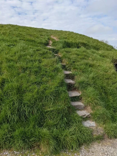 Parkta yeşil çimlerle kaplı tepe