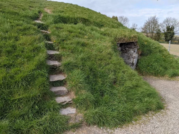 Parkta yeşil çimlerle kaplı tepe