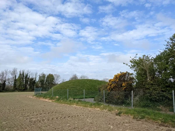 Parkta yeşil çimlerle kaplı tepe