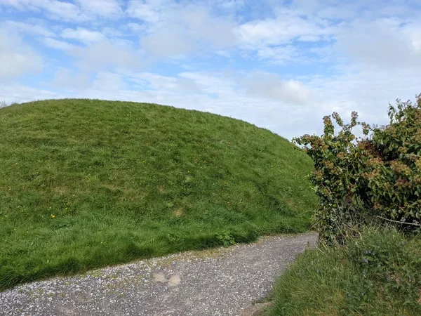Parkta yeşil çimlerle kaplı tepe