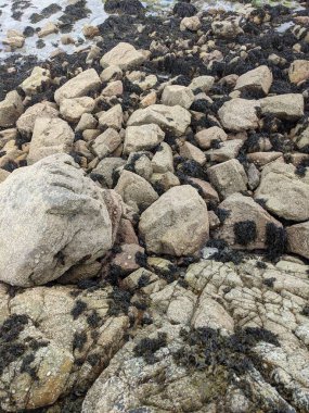 Deniz taşlarının taş dokusu.