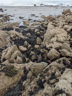 Deniz kıyısındaki kayaların manzarası