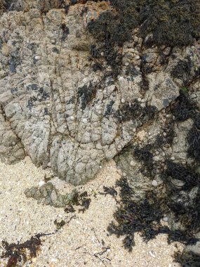 Deniz kıyısının büyük kaya oluşumları. 