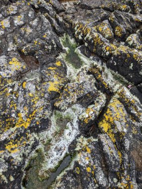 Deniz taşlarının taş dokusu.