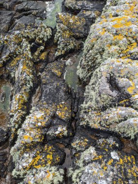 Deniz taşlarının taş dokusu.