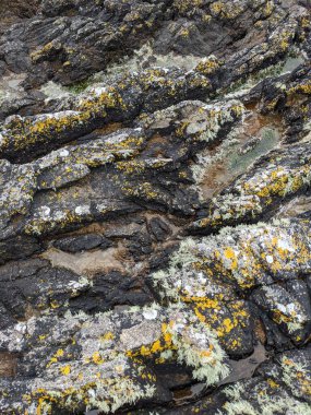 Deniz taşlarının taş dokusu.