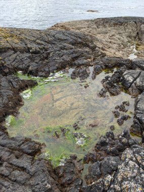 Deniz kıyısının büyük kaya oluşumları. 