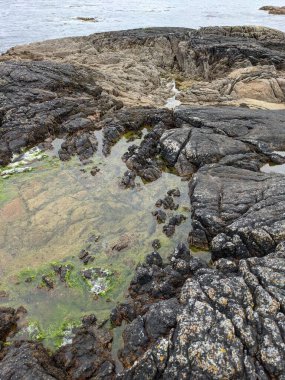Deniz kıyısının büyük kaya oluşumları. 