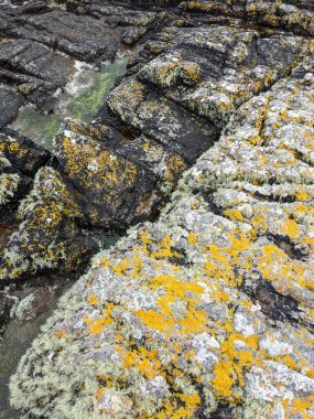 Deniz taşlarının taş dokusu.