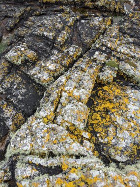 Deniz taşlarının taş dokusu.