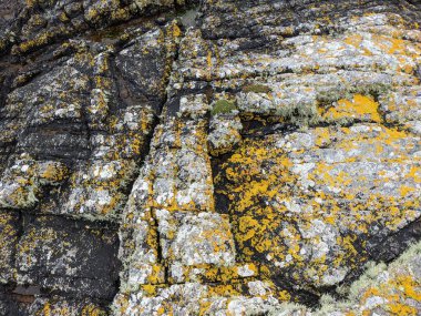 Deniz taşlarının taş dokusu.