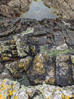 Deniz kıyısının büyük kaya oluşumları. 