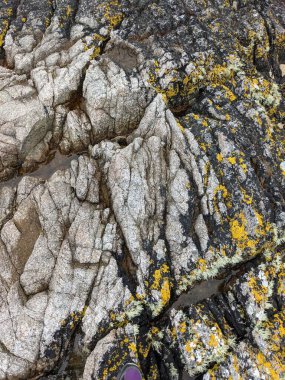 Deniz taşlarının taş dokusu.