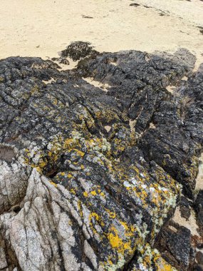 Deniz kıyısının büyük kaya oluşumları. 