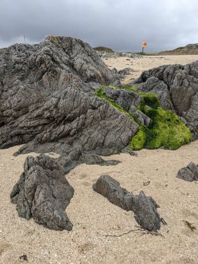 Deniz kıyısında yeşil yosunlu kayalar