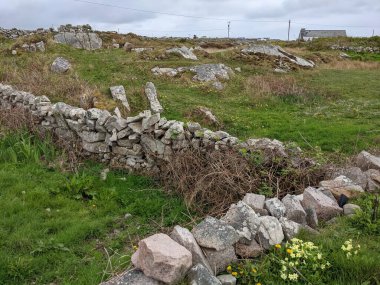İrlanda 'da deniz kıyısındaki antik binanın kalıntıları.