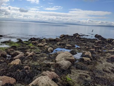 Deniz ve gökyüzü ile kayalık sahil manzarası