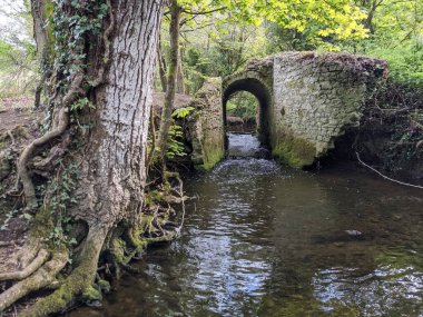 Ormandaki bir derenin üzerindeki eski taş köprü. 