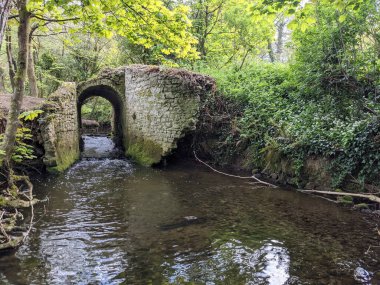 Ormandaki bir derenin üzerindeki eski taş köprü. 