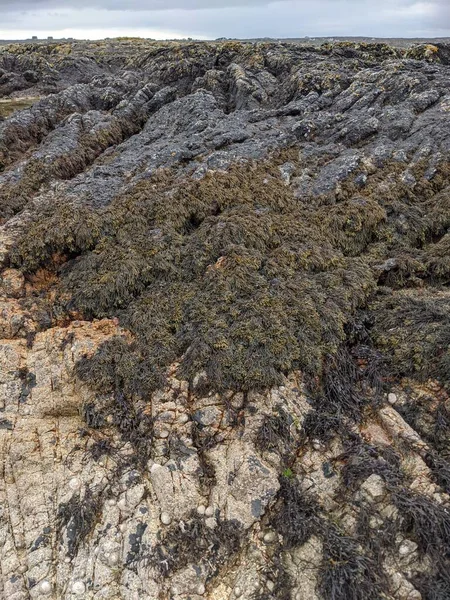 Large Pile Rock Formations Seashore — Φωτογραφία Αρχείου