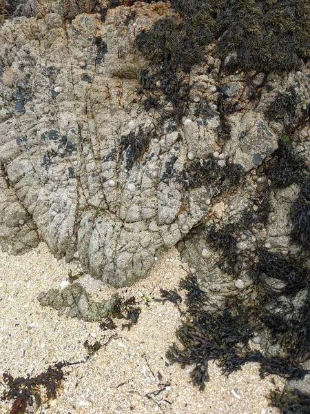 Deniz kıyısının büyük kaya oluşumları. 