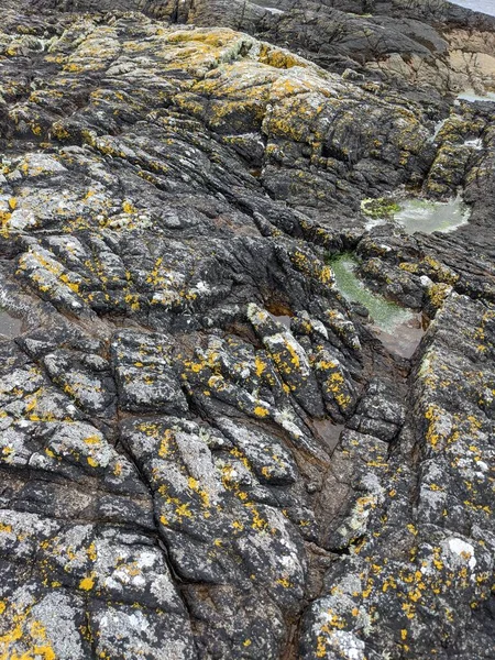 Stone Texture Sea Rocks — Φωτογραφία Αρχείου