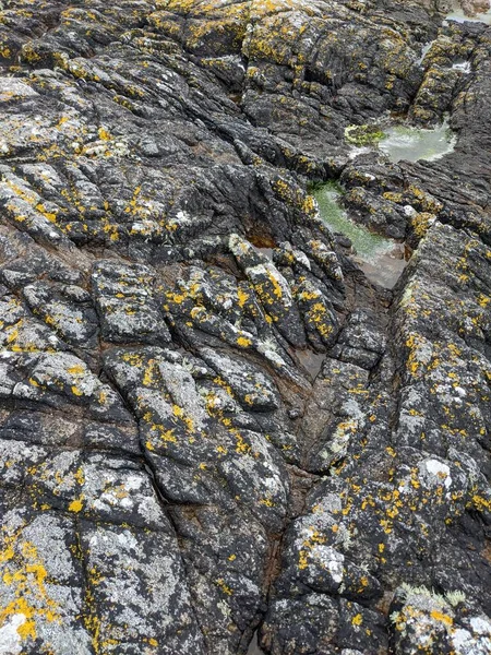 Deniz taşlarının taş dokusu.