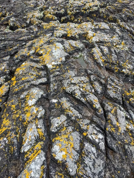 Stone Texture Sea Rocks — Stok fotoğraf