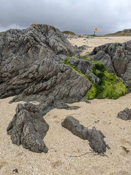 Deniz kıyısında yeşil yosunlu kayalar