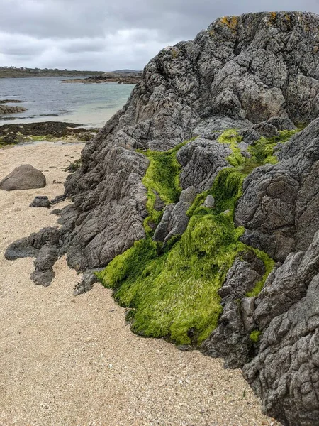 Скалы Зеленым Мхом Берегу Моря — стоковое фото