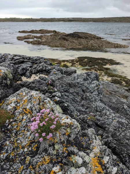 View Rocky Coast Sea Sky — ストック写真