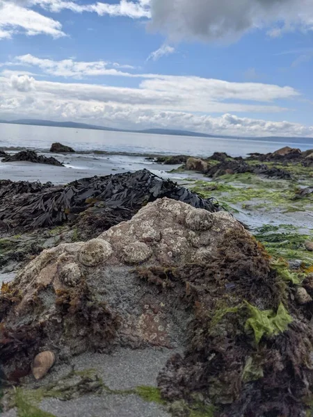 Deniz ve gökyüzü ile kayalık sahil manzarası