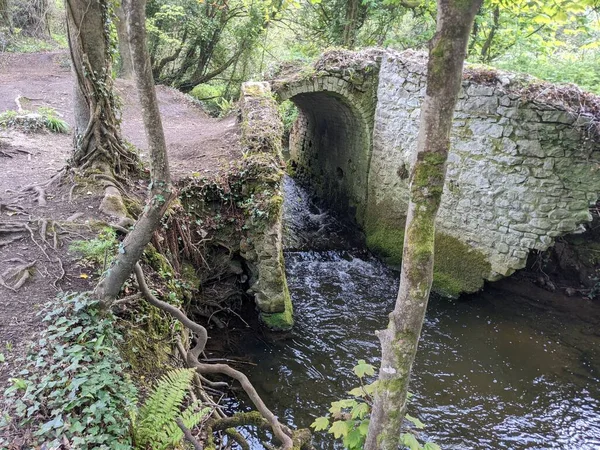 Ormandaki bir derenin üzerindeki eski taş köprü. 