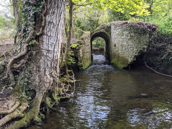 Ormandaki bir derenin üzerindeki eski taş köprü. 