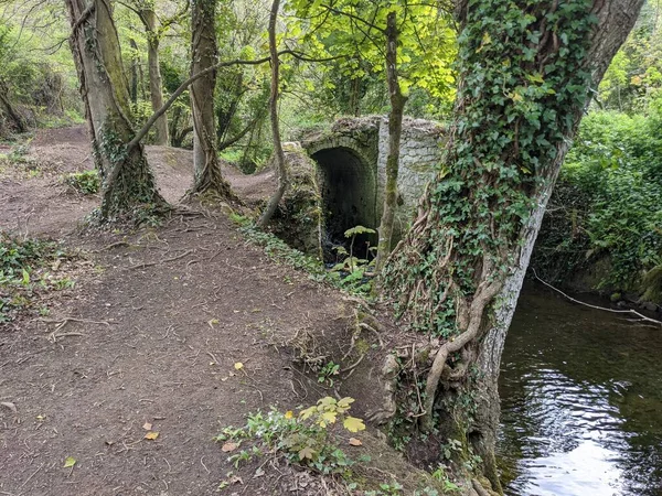 Ormandaki bir derenin üzerindeki eski taş köprü. 