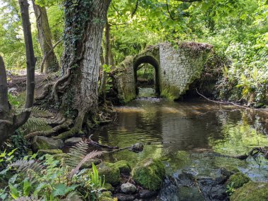 Ormandaki bir derenin üzerindeki eski taş köprü. 