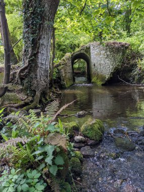Ormandaki bir derenin üzerindeki eski taş köprü. 