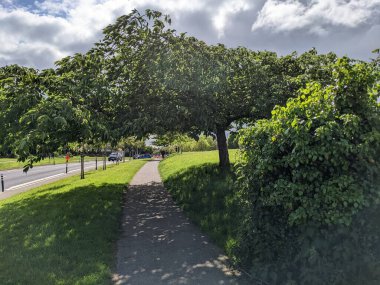 Güzel yeşil ağaçlar sokağın kenarında