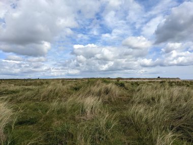 Bulutlu gökyüzü ile güzel bir tarla görüntüsü
