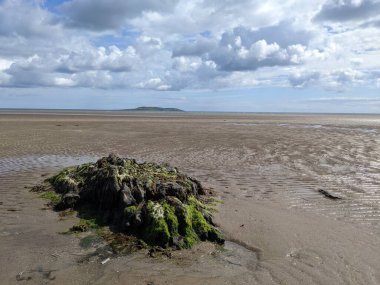 Deniz ve mavi gökyüzü manzaralı kıyı manzara