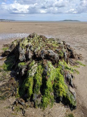 Deniz ve mavi gökyüzü manzaralı kıyı manzara