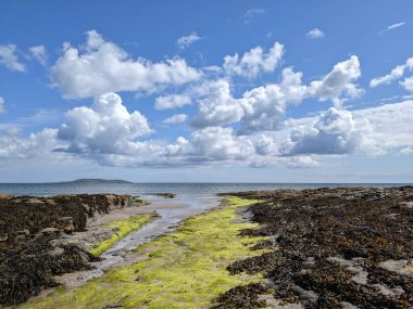 Deniz ve mavi gökyüzü manzaralı kıyı manzara