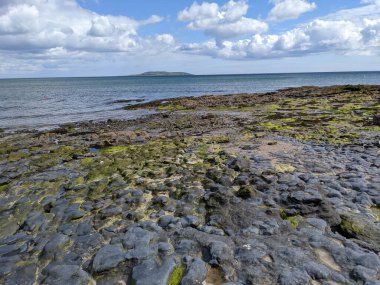 Deniz ve mavi gökyüzü manzaralı kıyı manzara