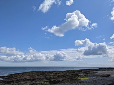 Deniz ve mavi gökyüzü manzaralı kıyı manzara