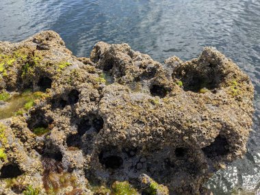 Denizle kaplı kayalık kıyı manzarası